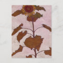 Recherche de beau tournesol cartes postales Moderne