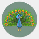 Search for cartoon peacock stickers Animal