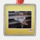 Search for ram ornaments I can has cheezburger