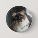 Search for cat face buttons Kitty