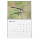 Search for dragonfly calendars Dragonflies