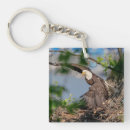 Recherche de aigle chauve porteclés Animal