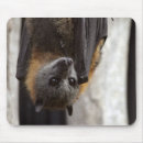 Search for flying bats mousepads Halloween