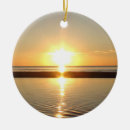 Search for cape cod ornaments Ocean