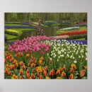Recherche de keukenhof holland posters Parc