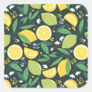 Search for lime slice stickers Nutrition