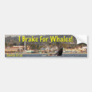 Search for marine mammal bumper stickers Whale