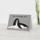 Recherche de springer spaniel vœux cartes Dog