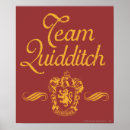 Search for quidditch posters Deathly hallows