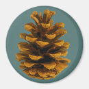 Search for pinecones magnets Autumn