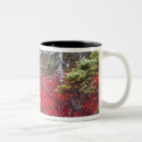 Search for joanne mugs Park