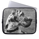Search for working dog cases Dogs