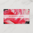 Recherche de rose rouge romantique cartes visite Roses