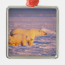 Search for mama bear ornaments Wildlife