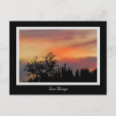 Search for dramatic postcards Bird