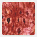 Search for cell stickers Abstract