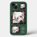 Search for cute shamrock iphone cases St patrick's day