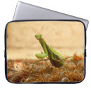 Search for predator laptop cases Animal