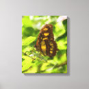 Search for watercolor butterfly canvas prints Wildlife
