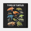 Search for turtled magnets Holiday discount codes