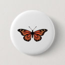Search for orange black white buttons Butterfly