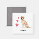 Recherche de laboratoires magnets Labrador