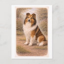 Recherche de colley cartes postales Animal de compagnie