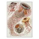 Search for natural history Biology