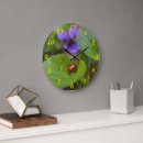 Search for insect clocks Ladybird