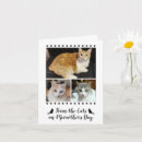 Search for from cats mothers day cards Funny
