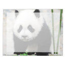 Recherche de ours blocsnotes Ours de panda