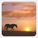 Search for pasture stickers Equine