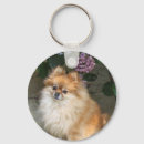 Search for pomeranian dog keychains Flowers