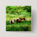 Recherche de de cheval badges Nature