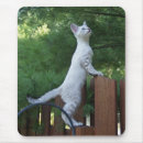 Recherche de animaux la savane tapis souris Animal