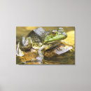 Search for warm colour canvas prints Natural