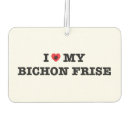 Recherche de bichon frisé Dogs