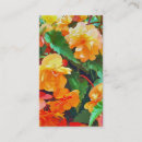 Search for begonia Flora
