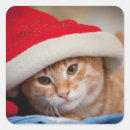 Search for christmas kitten stickers Animal