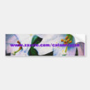 Search for lily bumper stickers Flowers