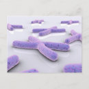 Recherche de chromosome cartes postales Développement