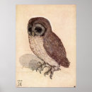 Recherche de dürer posters Albrecht durer