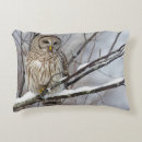 Recherche de rapace coussins Hibou