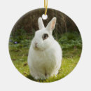 Search for white rabbit ornaments Cute