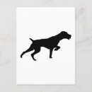 Search for german wirehaired pointer postcards Breed