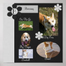 Search for scrap booking Scrapbooks