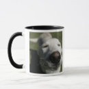 Search for fes mugs Santa fe