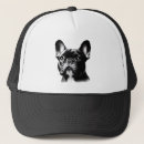 Recherche de bouledogue francais casquettes Animal de compagnie