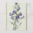 Search for medium postcards Flowers