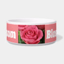 Search for rose macro photography Petals